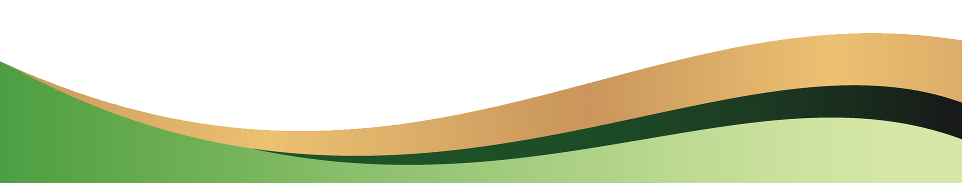 เวกเตอร์โค้ง